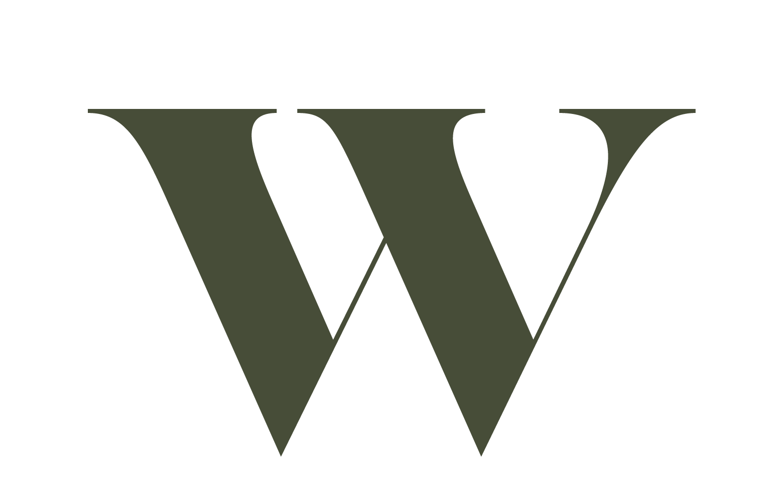 Wonda